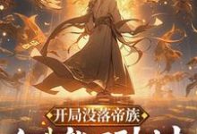 开局没落帝族,但我能回到过去完整版小说,开局没落帝族,但我能回到过去最新章节-有书评