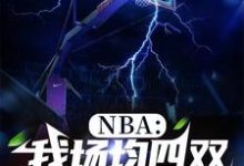 完结版《NBA:我场均四双,得分为零》免费阅读-有书评