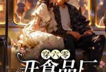 穿六零开食品厂,惹上太子爷倒追章节免费在线阅读,夏荷完结版-有书评