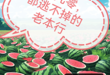 回到九零,都逃不掉的老本行小说最新更新在哪里?免费在线看-有书评