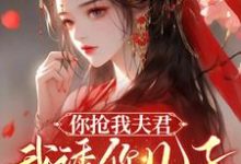 小说完整版《你抢我夫君,我诱你儿子,不能亏》免费阅读-有书评
