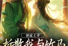 匪徒王爷拆散我与竹马，逼我嫁他！免费阅读，匪徒王爷拆散我与竹马，逼我嫁他！章节在线阅读-有书评
