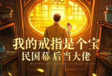 我的戒指是个宝,民国幕后当大佬这本小说在哪里可以看?哪里有免费试读章节?-有书评