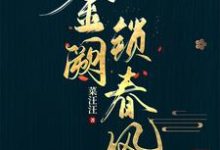 虞铮独孤钺小说叫什么(金阙锁春风完整版免费阅读)-有书评