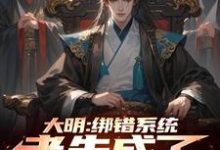 完整版小说《大明：绑错系统，老朱成了我岳父》免费阅读-有书评