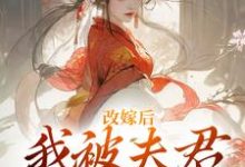 小说《改嫁后,我被夫君硬宠上天》章节免费阅读-有书评