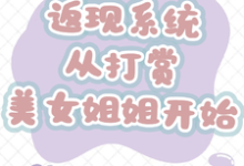 哪里能找到返现系统:从打赏美女姐姐开始小说的全部章节?-有书评
