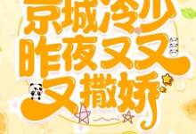 哇枭!京城冷少昨夜又又又撒娇!小说,哇枭!京城冷少昨夜又又又撒娇!在线阅读-有书评
