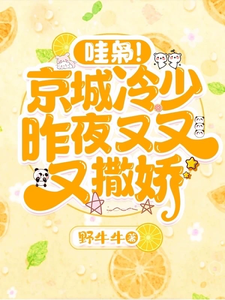 哇枭！京城冷少昨夜又又又撒娇！小说，哇枭！京城冷少昨夜又又又撒娇！在线阅读