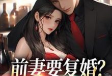 寻找前妻要复婚？我让她跪着滚小说的最新更新章节-有书评