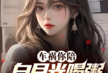 车祸你陪白月光喝粥,我走你哭啥小说完结版章节免费阅读-有书评