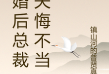 离婚后总裁前夫悔不当初江经年颜轻语小说在线章节目录阅读最新章节-有书评