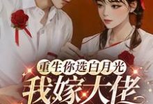 重生你选白月光,我嫁大佬你哭啥小说无弹窗阅读的网站推荐-有书评