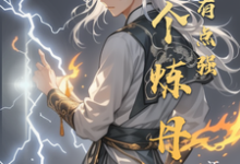 这个炼丹师战力有点强云尘林婉儿小说完结版章节在线阅读-有书评