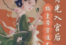 哪里可以免费找到白月光入宫后,狗皇帝紧追不舍?-有书评