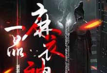 一品麻衣神相免费阅读，一品麻衣神相章节目录-有书评
