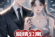 爱情公寓:我的传统女友沈星辰小说大结局免费试读-有书评