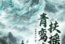 青鸾志：扶摇（李彩云苗）完整版在线免费阅读-有书评