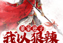完结版《董家逆子，我以狠辣镇天下》在线免费阅读-有书评
