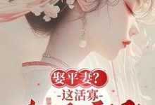 青黛小说娶平妻？这活寡我不守了！章节免费阅读-有书评