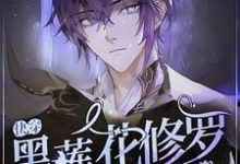 【快穿】黑莲花修罗场生存指南江燃，【快穿】黑莲花修罗场生存指南章节在线阅读-有书评