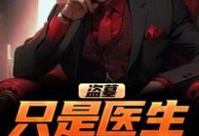 完结版《盗墓：只是医生而已》章节阅读-有书评