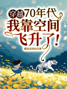 穿越70年代，我靠空间飞升了！苏暖暖慕景言小说在线章节免费阅读