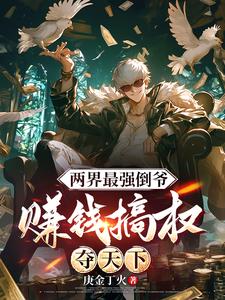 两界最强倒爷，赚钱搞权夺天下免费阅读，两界最强倒爷，赚钱搞权夺天下赵辰