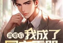离婚后我成了国之重器,前妻疯了!小说有没有完结版在线?-有书评