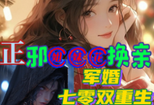 求正邪姐妹花换亲,军婚七零双重生小说的全文免费阅读链接-有书评