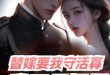 小说《替嫁要我守活寡,我三年抱俩》完整版章节免费阅读-有书评