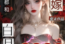 《圆房都和白月光,我改嫁京圈太子》沈瓷霍靳尧完整版小说免费阅读-有书评