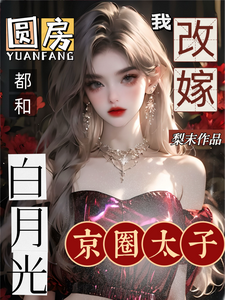 《圆房都和白月光，我改嫁京圈太子》沈瓷霍靳尧完整版小说免费阅读