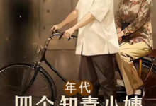《年代：四个知青小姨扶我青云志》完整版小说免费阅读-有书评