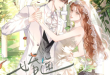 婚途明媚忽旎许竟之,婚途明媚在线无弹窗阅读-有书评