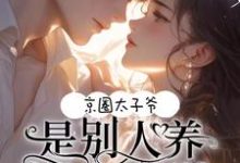求京圈太子爷！是别人养的小白脸小说的全文免费阅读链接-有书评