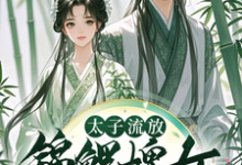 太子流放,锦鲤婢女随行超旺他小说全文阅读需要付费吗?寻找免费资源-有书评