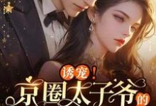 小说《诱宠!京圈太子爷的白月光回来了》章节免费阅读-有书评