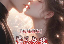 《被强撩后霸总失控,天天盼天黑》全集免费在线阅读(桑榆晚顾清霂)-有书评
