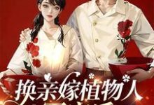 《换亲嫁植物人军官后,我一胎三宝》完整版小说免费阅读-有书评