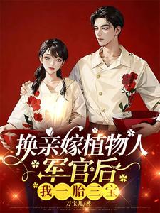 《换亲嫁植物人军官后，我一胎三宝》完整版小说免费阅读