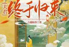 替嫁熬了三年后,夫君终于归来(陆真萧言)完整版在线免费阅读-有书评