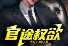 哪里能找到官途权欲小说的全部章节?-有书评