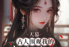 寻找能够免费阅读天幕:古人围观我的咸鱼生活小说的平台-有书评