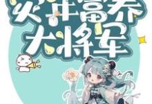 苏暖暖完整版小说《我家民宿通古今，灾年富养大将军》免费阅读-有书评