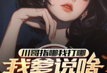 《川哥指哪我打哪,我爹说啥就是啥》小说苏城江川影章节章节免费在线阅读-有书评