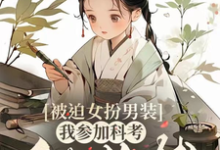 宋良佐林山野完整版小说《被迫女扮男装,我参加科考做首辅》免费阅读-有书评