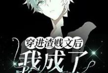 慕白辞小说免费阅读完整版-有书评