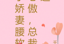 小娇妻腰软心傲,总裁迷小说完结版章节免费阅读-有书评