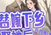 简艾陈宵小说《替嫁下乡,娶她后,他全家都活了》完整版免费阅读-有书评